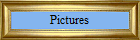 Pictures